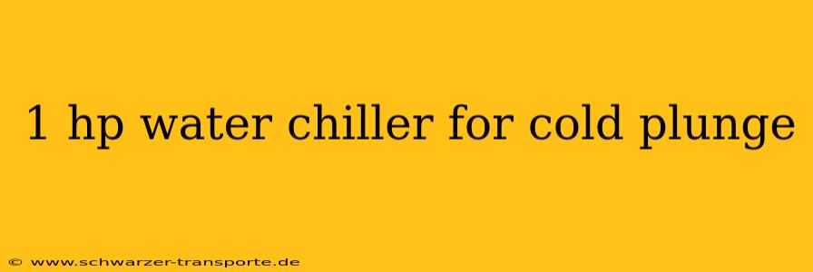 1 hp water chiller for cold plunge
