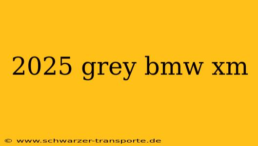 2025 grey bmw xm