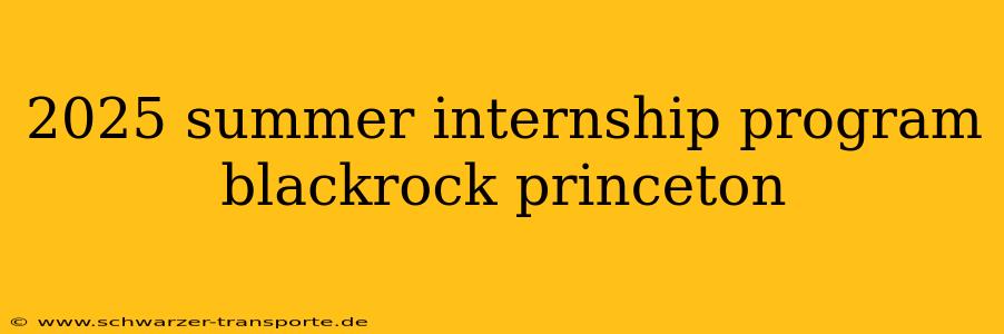 2025 summer internship program blackrock princeton