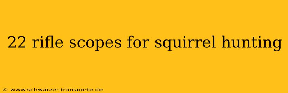 22 rifle scopes for squirrel hunting