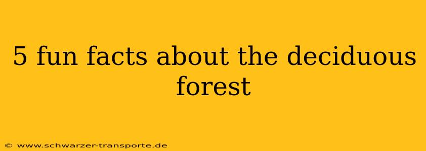 5 fun facts about the deciduous forest