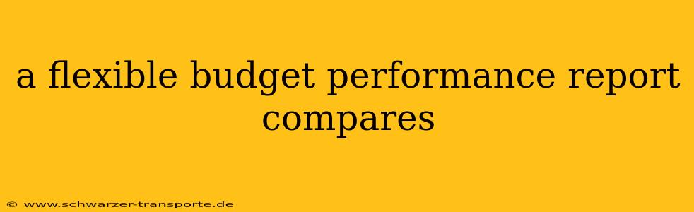 a flexible budget performance report compares
