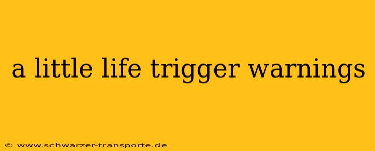 a little life trigger warnings