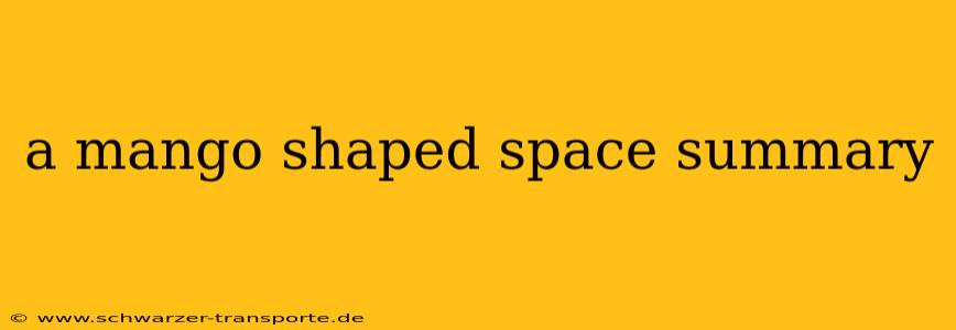 a mango shaped space summary