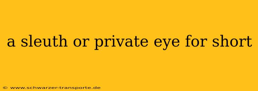 a sleuth or private eye for short