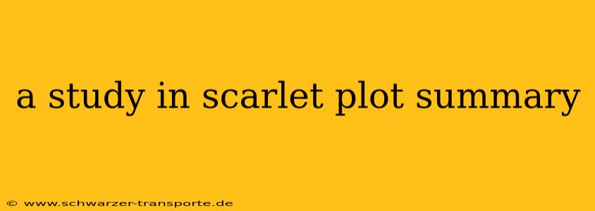 a study in scarlet plot summary