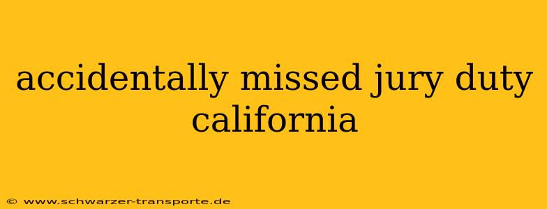 accidentally missed jury duty california