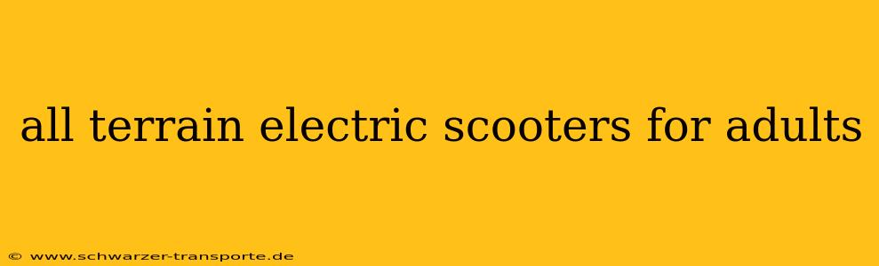 all terrain electric scooters for adults