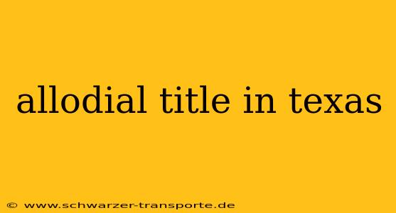 allodial title in texas