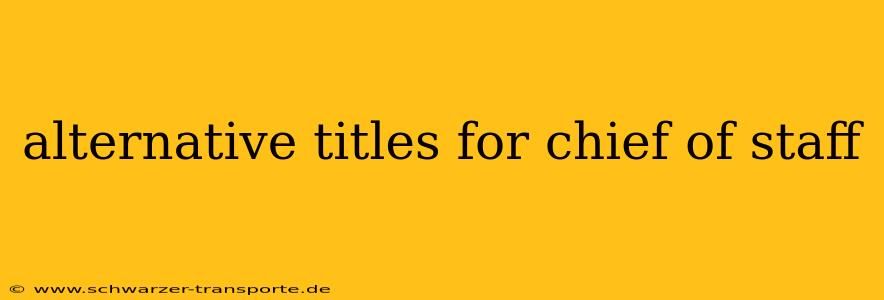 alternative titles for chief of staff