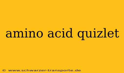 amino acid quizlet