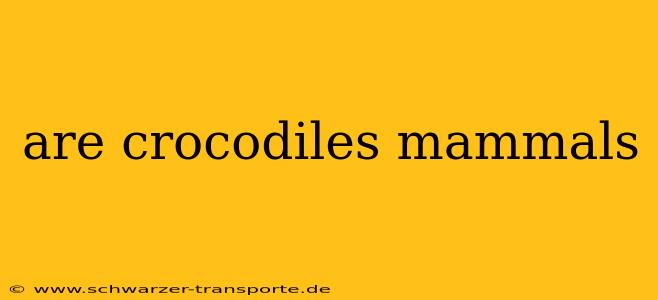 are crocodiles mammals