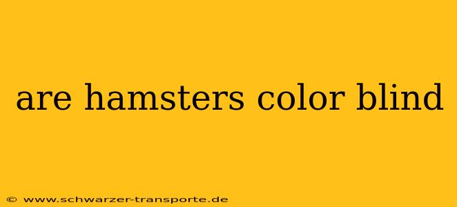are hamsters color blind