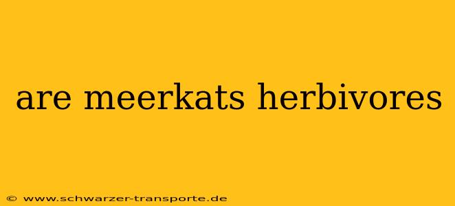 are meerkats herbivores