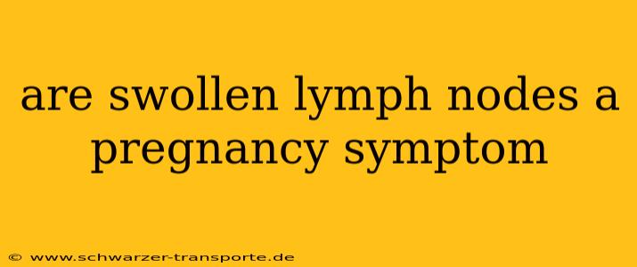 are swollen lymph nodes a pregnancy symptom