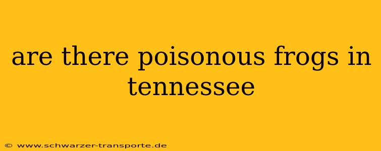 are there poisonous frogs in tennessee