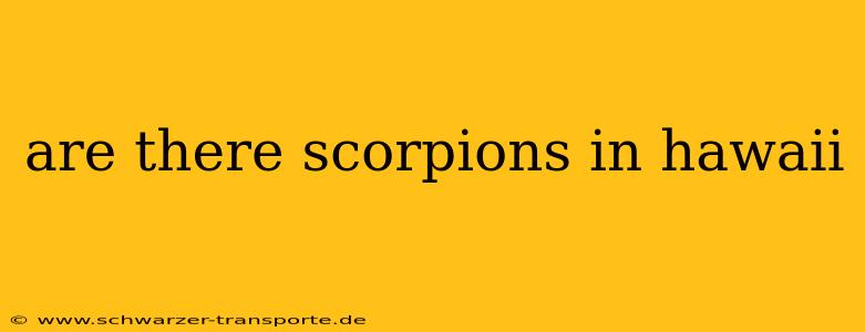 are there scorpions in hawaii