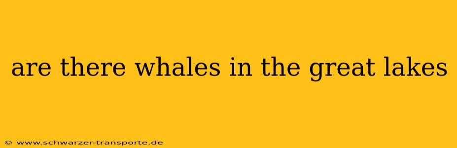 are there whales in the great lakes