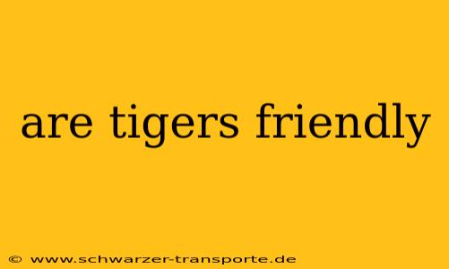 are tigers friendly