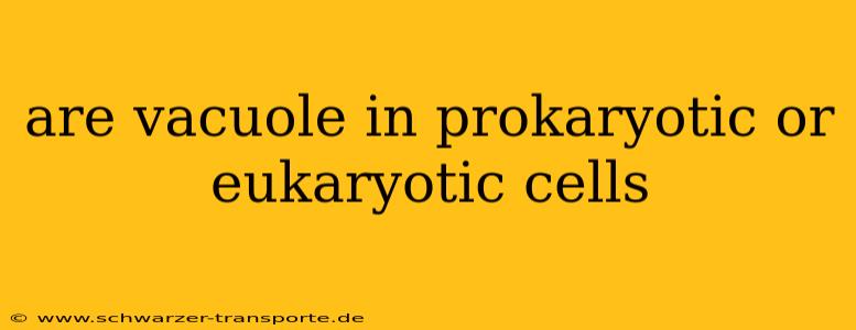 are vacuole in prokaryotic or eukaryotic cells