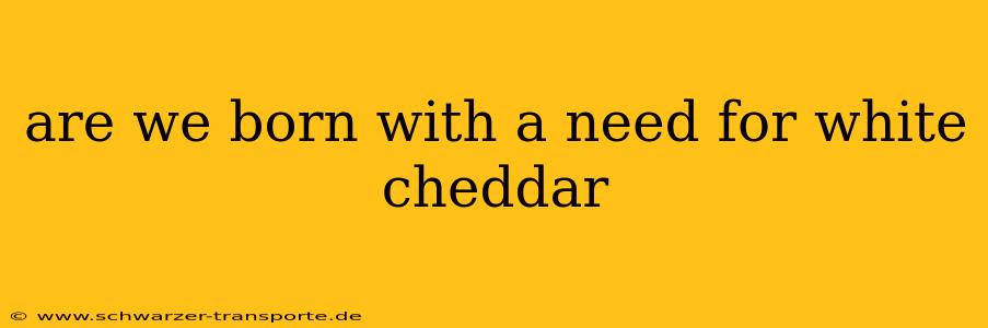 are we born with a need for white cheddar