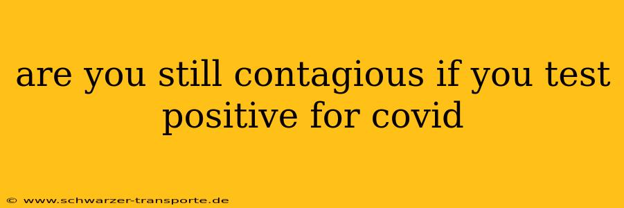 are you still contagious if you test positive for covid