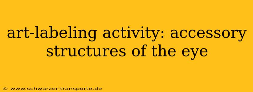art-labeling activity: accessory structures of the eye
