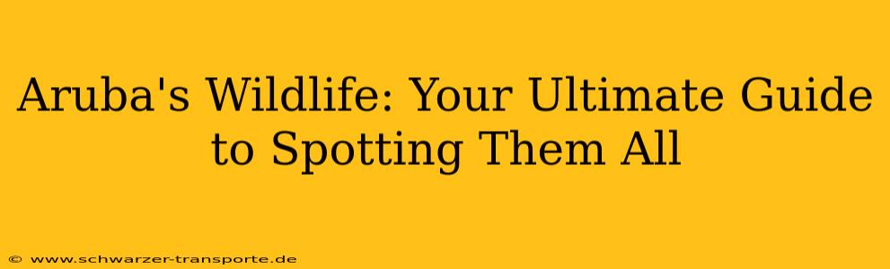 Aruba's Wildlife: Your Ultimate Guide to Spotting Them All