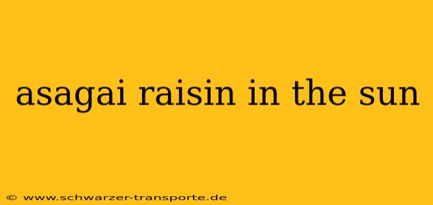 asagai raisin in the sun
