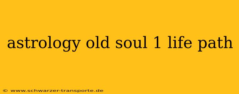astrology old soul 1 life path