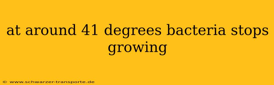at around 41 degrees bacteria stops growing