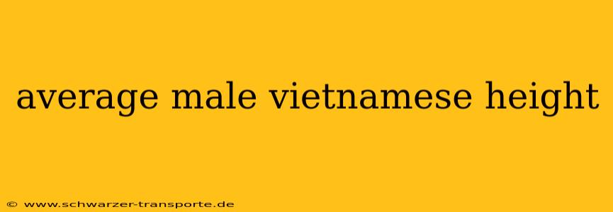 average male vietnamese height