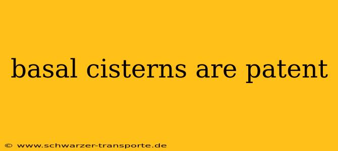 basal cisterns are patent
