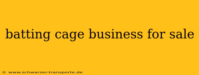 batting cage business for sale