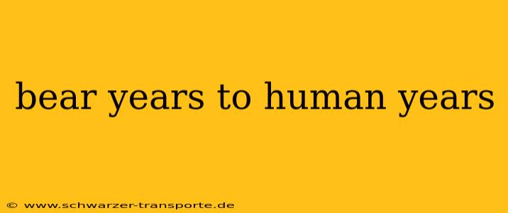 bear years to human years