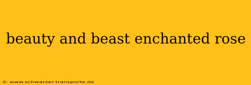 beauty and beast enchanted rose