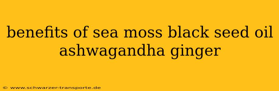 benefits of sea moss black seed oil ashwagandha ginger
