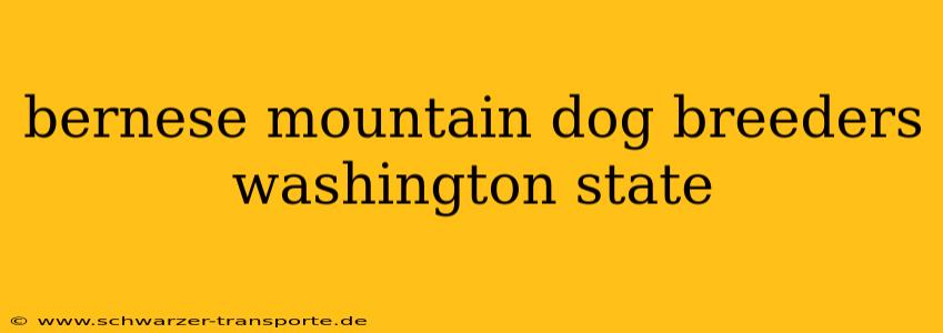 bernese mountain dog breeders washington state