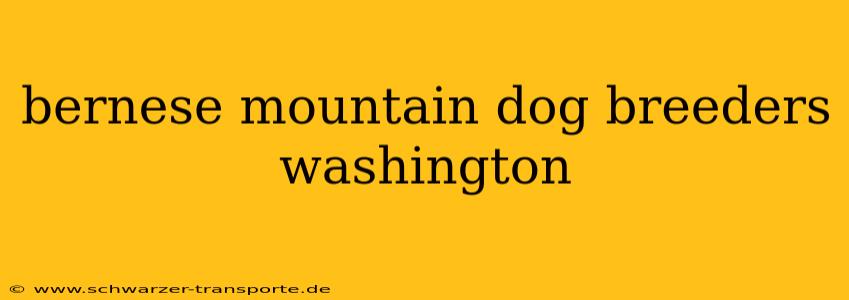 bernese mountain dog breeders washington