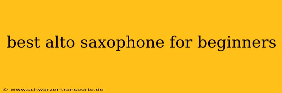 best alto saxophone for beginners