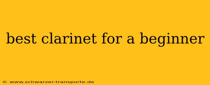 best clarinet for a beginner