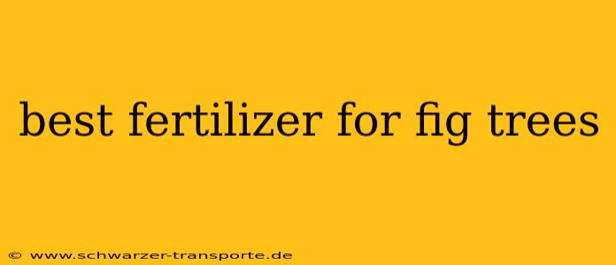 best fertilizer for fig trees