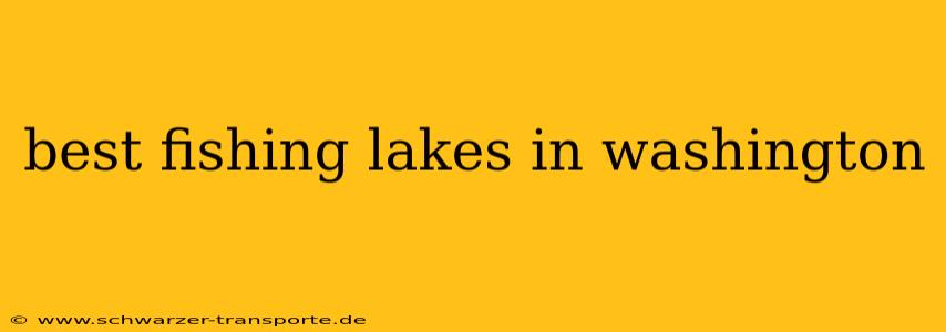 best fishing lakes in washington