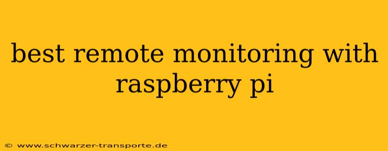 best remote monitoring with raspberry pi