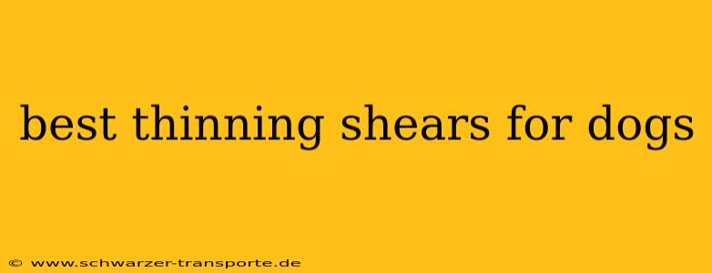 best thinning shears for dogs
