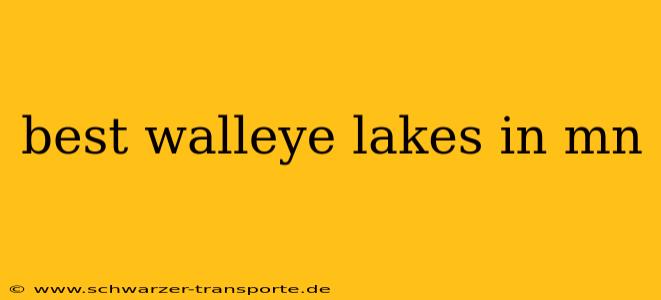 best walleye lakes in mn