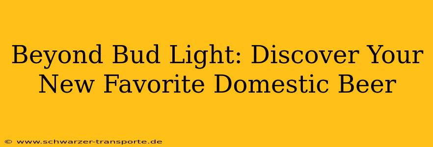 Beyond Bud Light: Discover Your New Favorite Domestic Beer