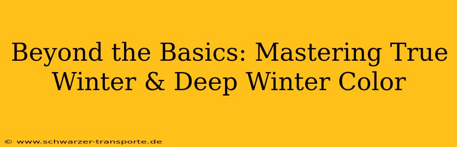 Beyond the Basics: Mastering True Winter & Deep Winter Color