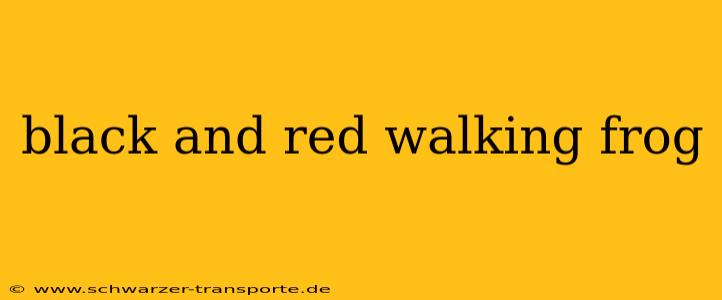 black and red walking frog
