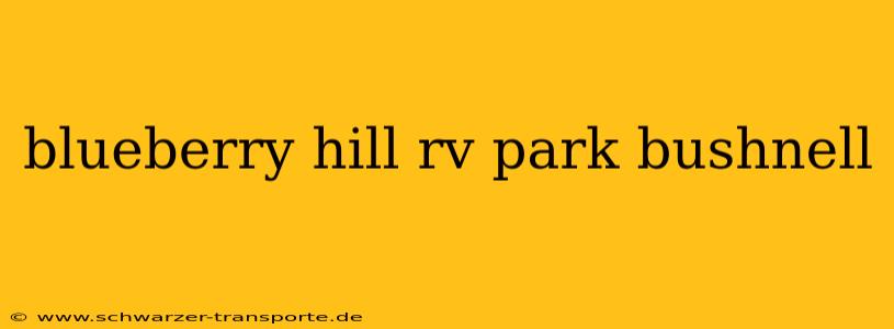 blueberry hill rv park bushnell